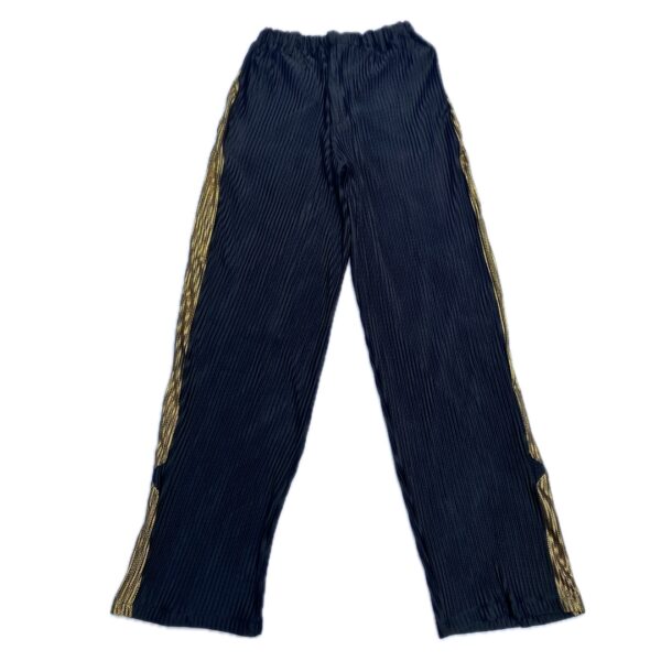 -TRUST PATHWAY PLEATED PANTS - Image 2